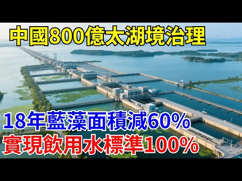 中國超800億太湖境治理！長達18年藍藻面積減少60%！如今實現飲用水達100%！#超級工程#國際新聞#大國熱點#熱門#中國