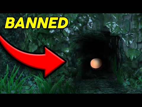 They banned THIS in Hide n Seek (Multiplayer Odyssey)