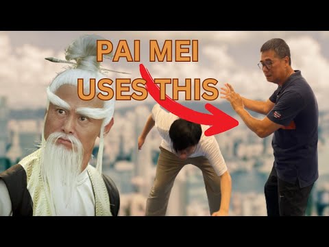 This is the real Kung Fu of Pai Mei - Kung Fu of Hong Kong ep4