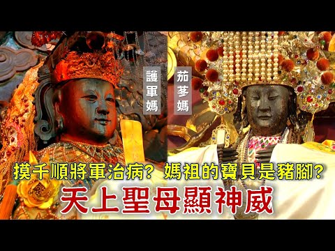 茄苳媽的神奇寶貝，竟是不會腐爛的豬腳？護軍媽的千順將軍好神，摸一摸可以治病？台灣百廟2024/04/21-下茄苳泰安宮(媽祖)+下茄苳旌忠廟(岳武穆王)+六甲恆安宮(媽祖)