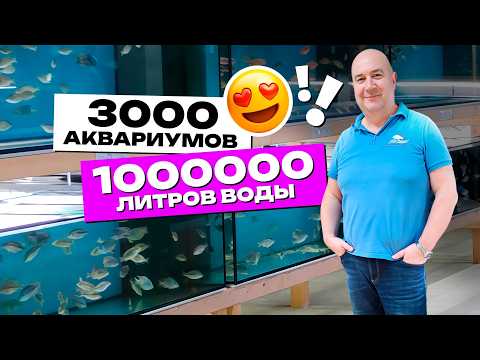 Путешествие по Aquahaus-Gaus: Самая большая рыборазводня в мире / 3000 аквариумов 4К
