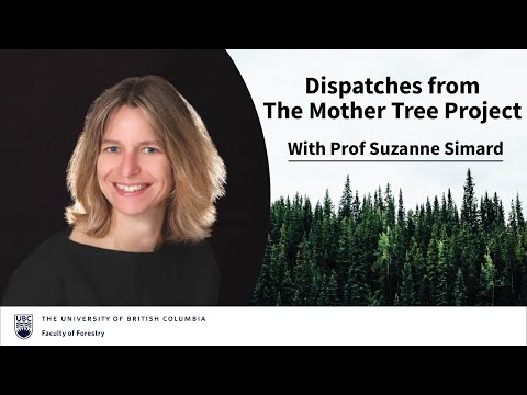 Suzanne Simard - Dispatches from The Mother Tree Project