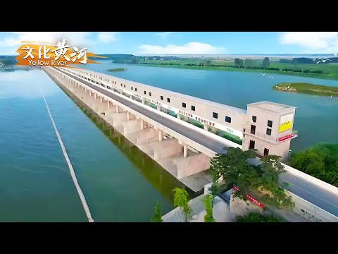 第77集：建成却从未使用？探秘亚洲第一分洪闸！走进濮水小镇解锁中原非遗文化宝藏——黄河岸边的幸福家园 【天下黄河】| 文化黄河 Yellow River