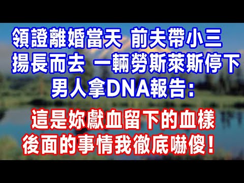 領證離婚當天，前夫帶小三揚長而去。一輛勞斯萊斯停下，男人拿 DNA 報告：這是妳獻血留下的血樣。後面的事情我徹底嚇傻！#人生感悟 #故事分享 #故事頻道 #生活經驗 #打脸