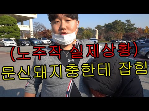 [신입유튜버 뷰티풀너드]가오잡는 문신돼지충 박살내고왔습니다(feat.99대장,99인심)