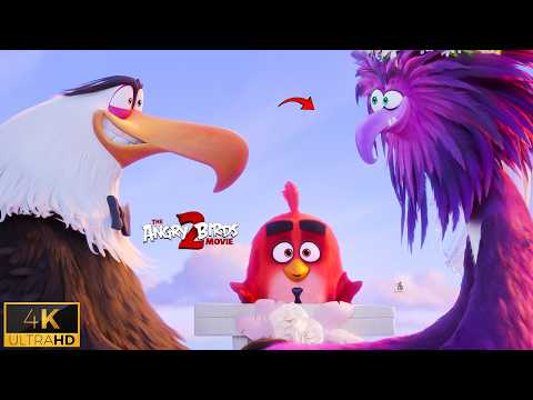 Happy Ending Wedding Moment – The Angry Birds Movie 2 Ending Scene