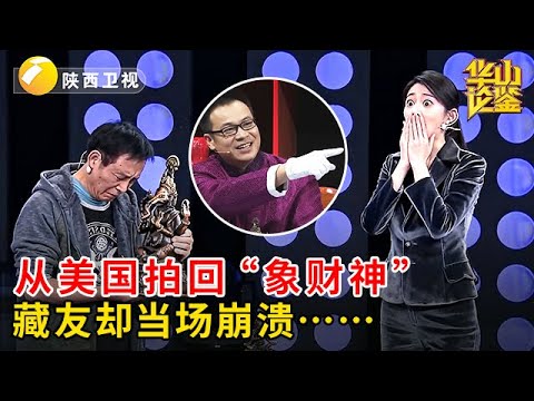 来自美国的“象财神”，藏友自信开价88万！专家确认为真，他却当场崩溃……【华山论鉴】