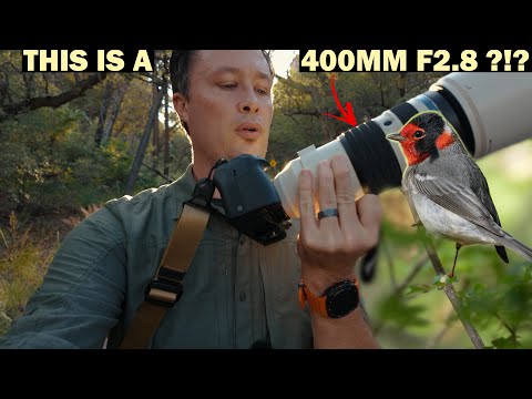 Birding with the new OM 50-200mm F/2.8 IS PRO (Is it any good with teleconverters?)