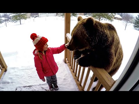 Dangerous Animals Caught Being Friendly