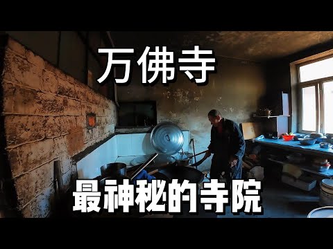 这是一座老张目前走访的寺院中最神秘的一座，尚志的万佛寺，在深山里面，据说非常神秘，下面老张以第一视角带大家沉浸式的走访一下