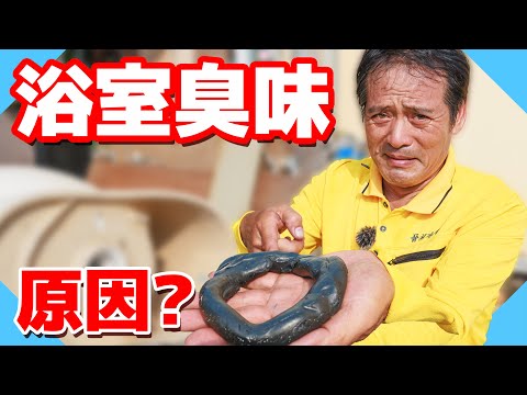 浴室有臭味！你可能忽略的關鍵原因！這樣做就能改善【水電爸爸】