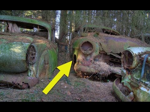 These Cars In The For Were Abando** By American Soldiers During WWII