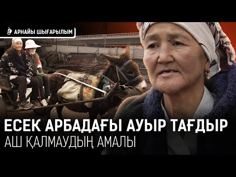«Жолдан өткенде боқтап кетеді». Нан табу үшін арланбаған апалар I Алтын орда