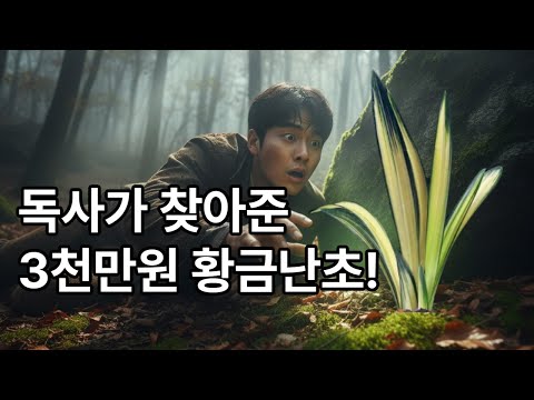 뱀이 찾아준 황금난초 #천향원TV #난초 #동양란 #한국춘란