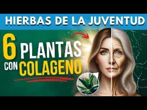 ✅ 6 PLANTAS de la Juventud que te dan COLÁGENO y FAVORECEN tu PIEL
