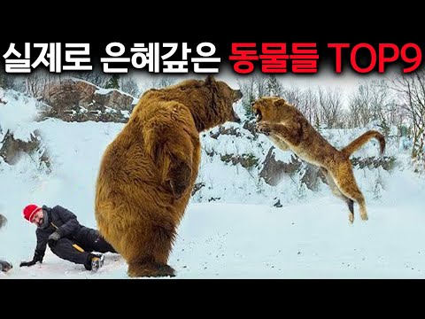 내 보온도시락 건들지마!