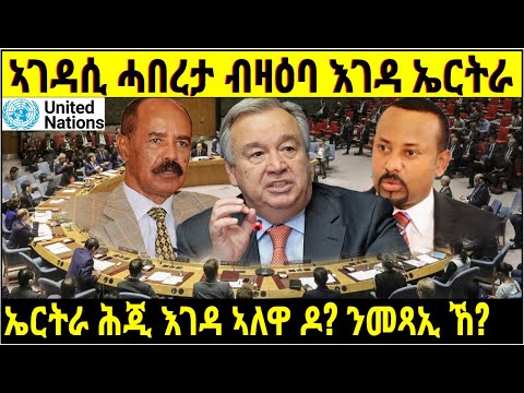 @gDrar ኣገዳሲ ሓበረታ ብዛዕባ እገዳታት ኣብ ልዕሊ ኤርትራ - UN Sanctions on Eritrea explained