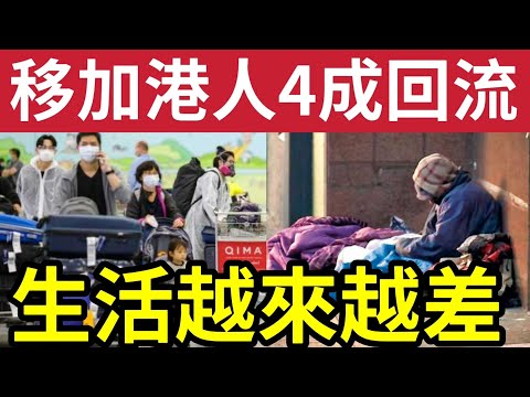 移加極度後悔！移民港人吐苦水！加拿大生活「物價極高」申請簽證暴跌4成！港人考慮「準備回流」BNO 5+1「改10+1」震驚全國！感覺被出賣！