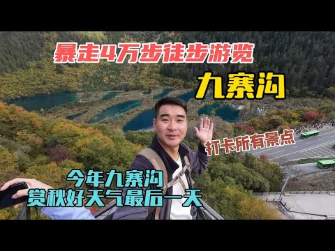 今年九寨溝賞秋好天氣最後一天，暴走四萬步，帶大家遊覽完所有景點！