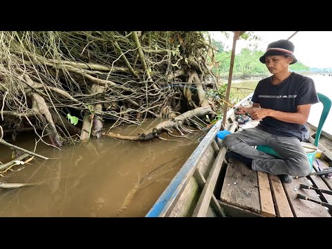 AMAZING !! THE GIANT SHRIMP PULLED MY ROD VERY STRONGLY || FISHING FOR GIANT SHRIMP IN THE RIVER
