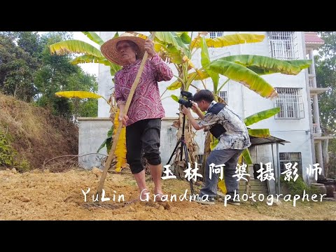 (VLOG)Recording Guangxi grandmother planting sesame