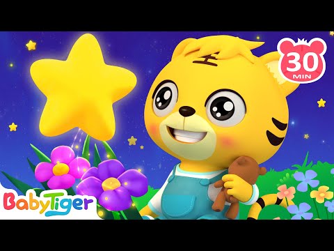 小星星✨✨✨ + 更多兒歌🎵 | 兒童歌曲合集 | 經典兒歌 | 幼兒音樂 | 童謠串燒 | 貝樂虎BabyTiger