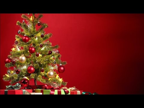 크리스마스 준비  20251218ㅡ1