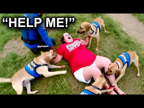 When Suspects Regret Running From a K9 Unit