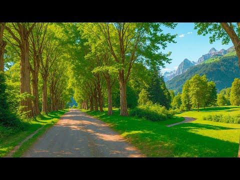 Beautiful Relaxing Music - Stop Overthinking, Stress Relief Music, Sleep Music, Calming Music #678
