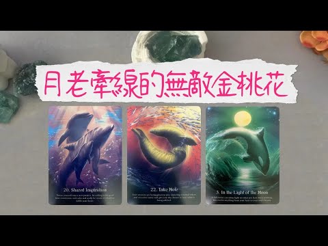 月老牽線為你安排的無敵金桃花何時出現ta的超詳細畫像曖昧愛情戀愛桃花塔羅占卜