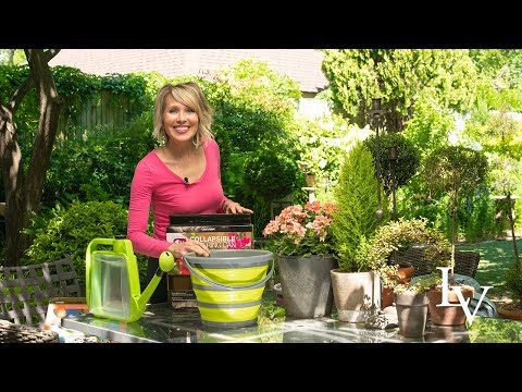 Centurion Collapsible Bucket and Watering Can // Linda Vater