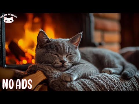 Music Sleep For Cat 🐱 Soothing Music with Cozy Ambience for Deep Sleep, Anxiety Relief & Relaxation