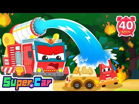 森林營救行動 🌲🚒｜小動物需要幫忙啦！｜自然探索 🍃｜安全教育 ｜動畫故事 🎥｜超級汽車