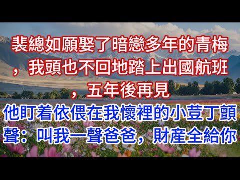 裴總如願娶了暗戀多年的青梅，我頭也不回地踏上出國航班，五年後再見，他盯着依偎在我懷裡的小荳丁顫聲：叫我一聲爸爸，財産全給你