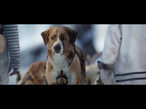 Alan Walker - The True Leader (Part. 03)