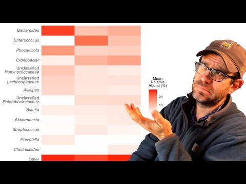 How to create a heatmap in R with geom_tile and geom_text from ggplot2 (CC105)
