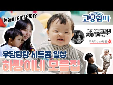 [#고딩엄빠모음집] 우당탕탕 하랑이네의 시트콤 일상부터 인기 유튜버가 된 근황까지 싸악 털어왔습니다! 우주 최강 귀요미 하랑이 보러 오세요! 😍😍