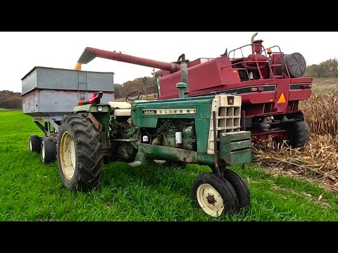 The Last Day Of Combining Corn! Harvesting Corn On A Small Family Dairy Farm! Harvest 2025