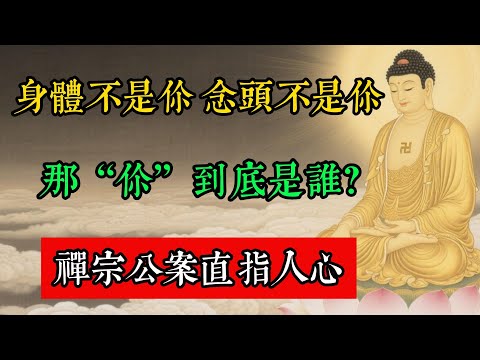 身體不是你，念頭不是你，那“你”到底是誰？禪宗公案直指人心！#佛教 #佛家 #佛法 #佛學知識 #佛學智慧 #修心修行 #佛教文化 #禪悟人生 #傳統文化