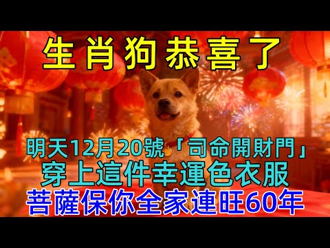 百年難遇！生肖狗明天12月20日，農曆十一月初一是「司命開財門」！一定要記得穿這個顏色的衣服，菩薩保你全家連旺60年，再倒楣也能逆天改命！  #生肖运势#佛陀#佛學 #佛法 #佛教 #修行 #智慧