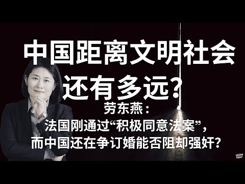 劳东燕: 为什么我们对性与同意仍然这么陌生? | 中国性犯罪的底层逻辑 | 法国刚通过“积极同意法案”，而中国还在争订婚能否阻却强奸？| 性压抑理论 | 峰哥亡命天涯