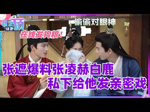 张遮耿直爆料称张凌赫和白鹿竟然给他发亲密戏？！可怜的张大人，又被危宁撒狗粮！| 宁安如梦 | 娱乐 | 王星越 | 影视
