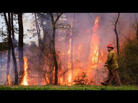 BRUSH FIRE AIR TANKER Drops Manchester New Jersey 4/21/24