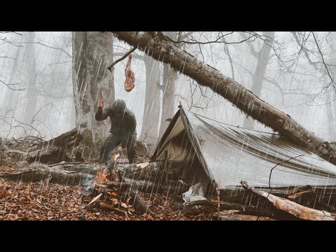 Survival in Heavy Rain | Dark and Foggy Forest | Shelter Under a Tree | Grilling Lamb Shank | ASMR