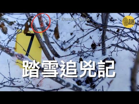 加拿大寒冷刺骨的冬夜裡 警員意外的發現了一名倒在雪地裡的女孩 然而隨著案件的深入 一連串的謎團逐漸被解開.....