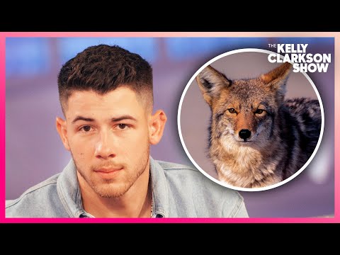 Nick Jonas Got Chased By A Pack Of Coyotes—He Thinks