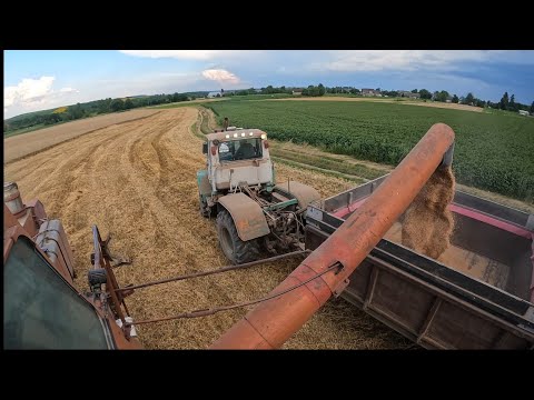 The harvest continues❌First breakdown of the FIELD🥲One T 150K can't carry the grain from the field🫢