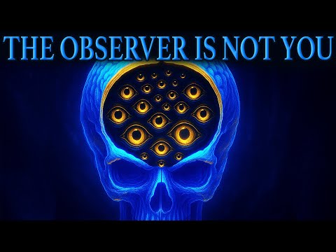 You Are Not Who’s Behind Your Eyes (The Observer Explained)