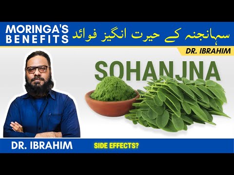 Moringa/Sohanjna Ke Fawaid - Top Benefits Of Moringa On Fertility, Bones, Weakness | Dr. Ibrahim