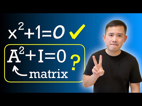 Can A^2+I=0?